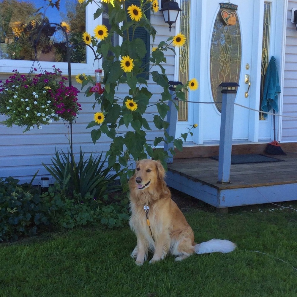 Meet your Posher, Ann